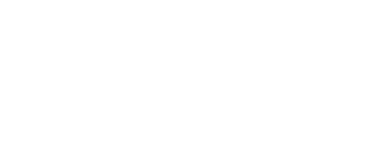 Lift Control Online logo